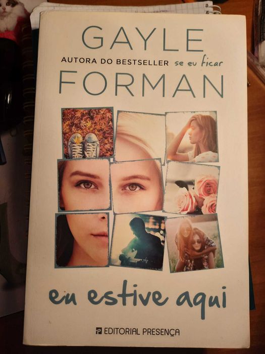 Eu estive aqui de Gayle Forman
