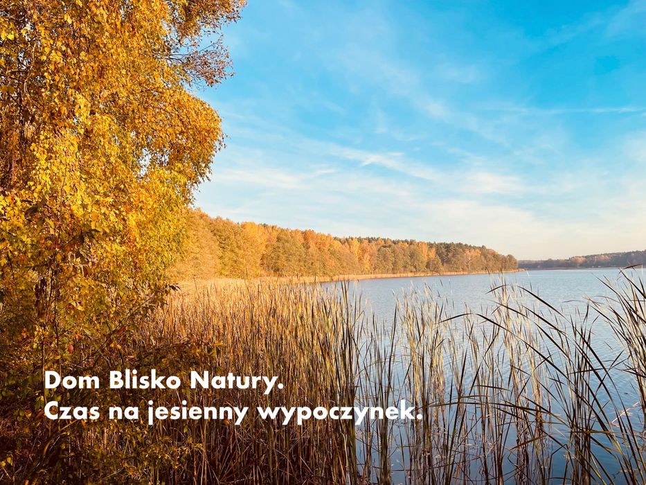 Dom Blisko Natury. Prywatne jacuzzi oraz sauna fińska.31.10-2.11 WOLNY