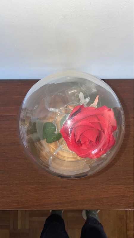 Lâmpada Campânula de Vidro com Rosa - A Bela e o Monstro