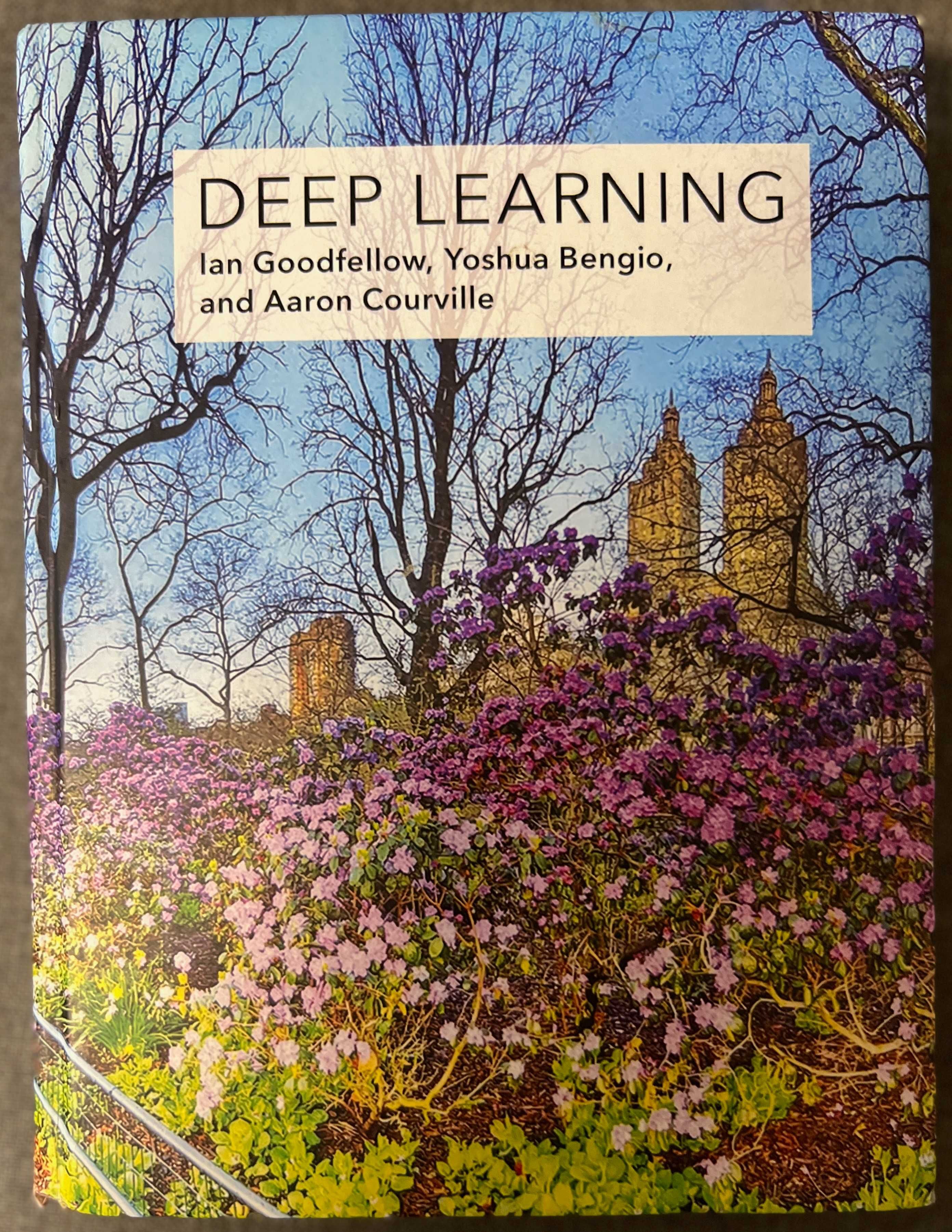 Deep Learning Ian Goodfellow eng