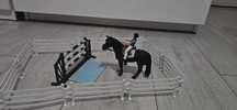 Zestaw oryginalne schleich
