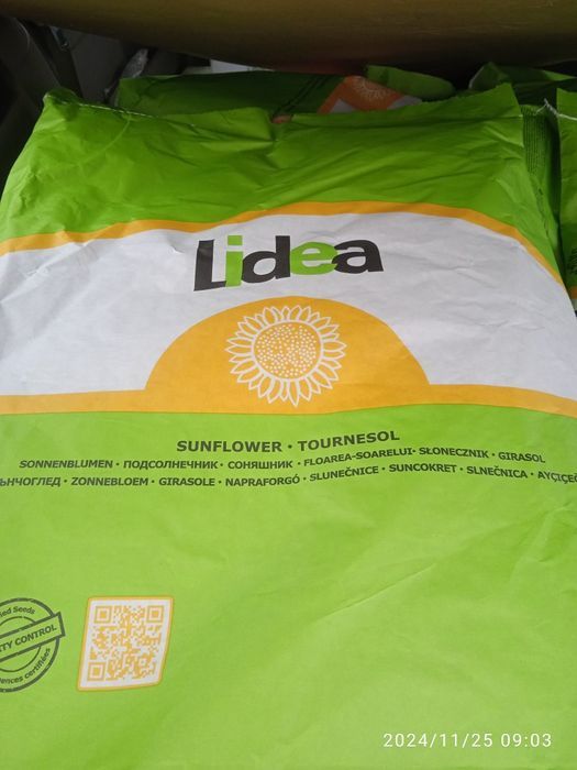 Продам посевной материал Бела