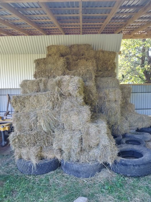 Тюки сіно солома 2025