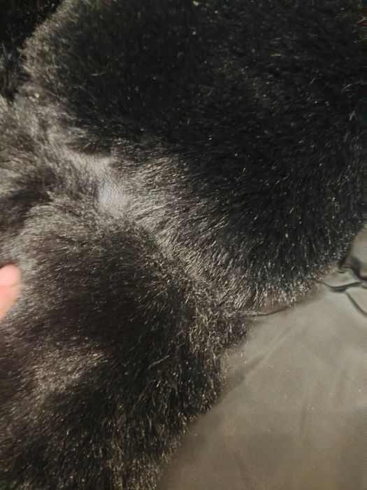 Kurtka zimowa damska duża