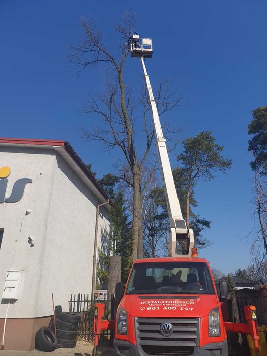 Wycinka drzew, pielegnacja drzew, podnośniki koszowe