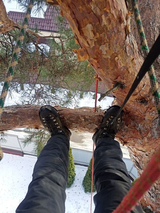 Спилить дерево удалить дерево кронирование видалити дерево альпинист