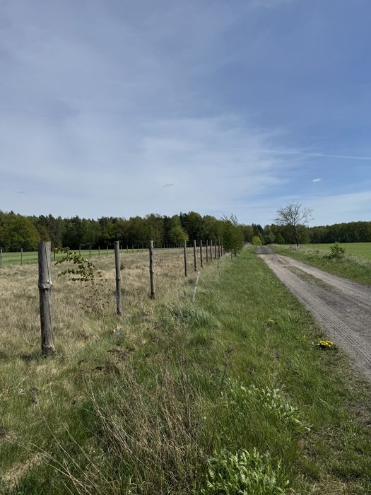 Atrakcyjna działka BOROWSKIE GZIKI z możliwością budowy domu