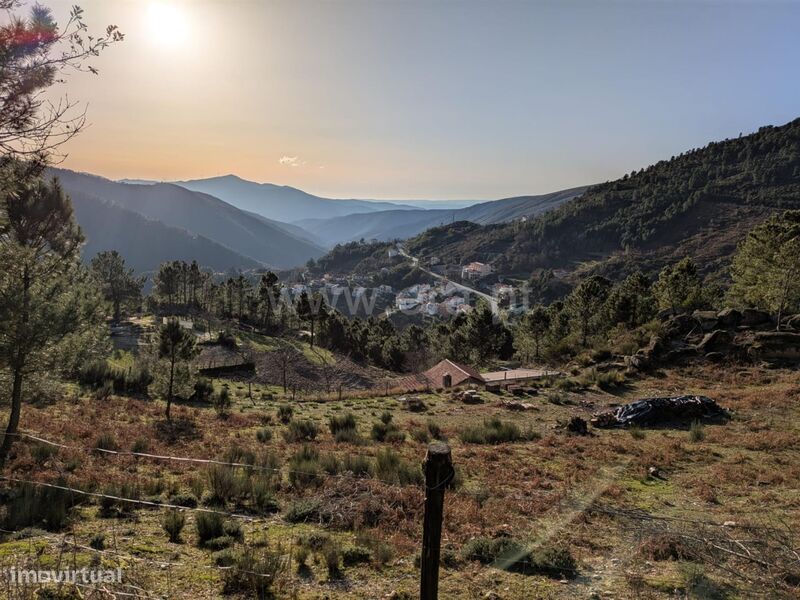 Quinta / Seia, Loriga