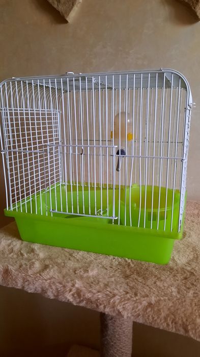 Клітка для хом' ячків 30×30
