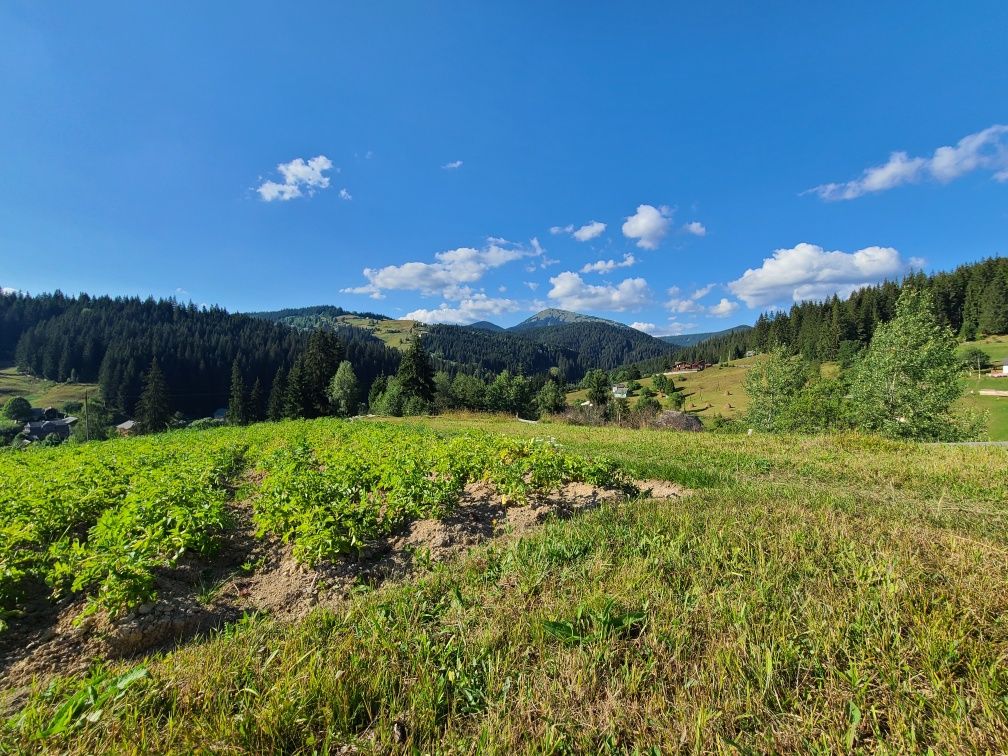 Земля Яблуниця Буковель