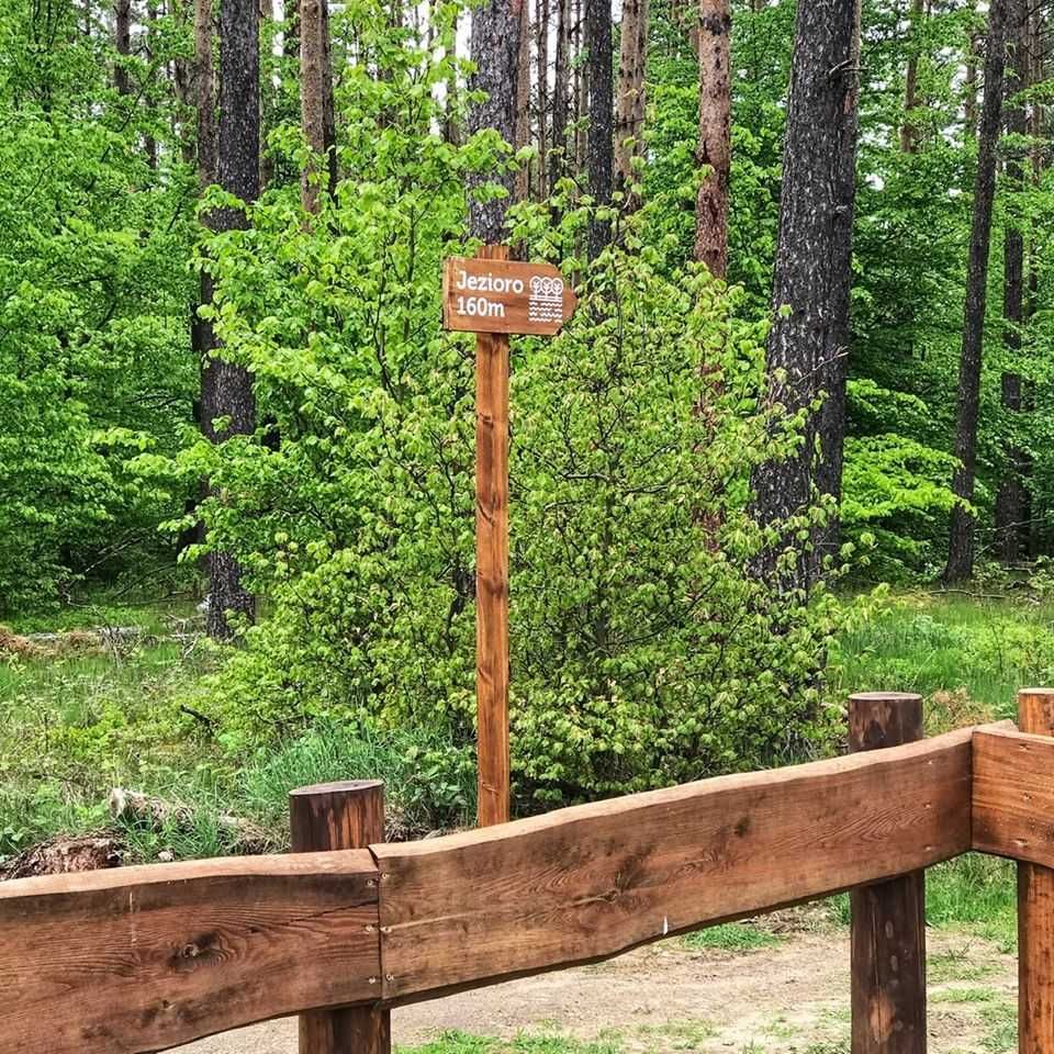 Domek nad jeziorem z basenem na Kaszubach - Ostoja Bukowo, Kaszuby