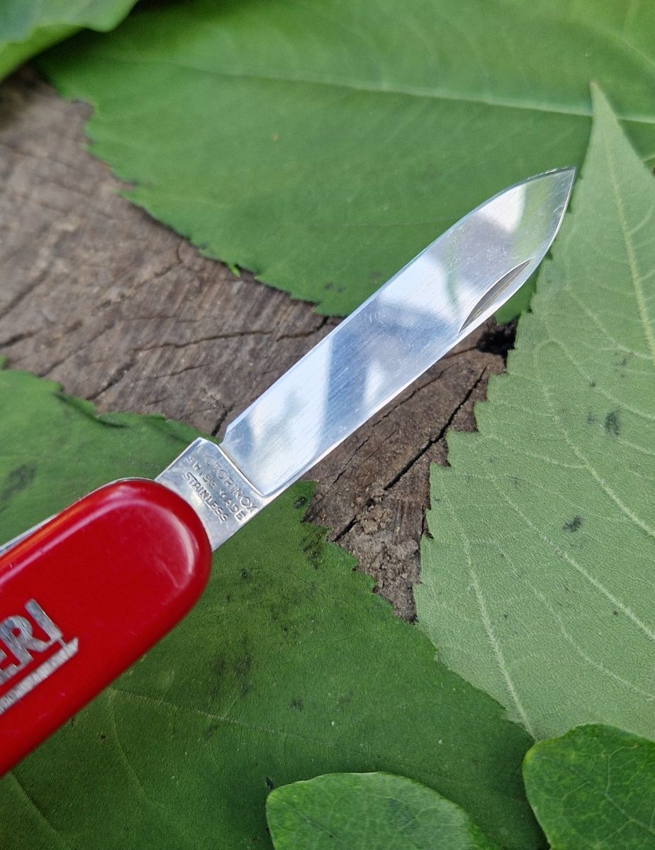 Scyzoryk Victorinox Mountaineer PEri 1.3743 szwajcarski multitool