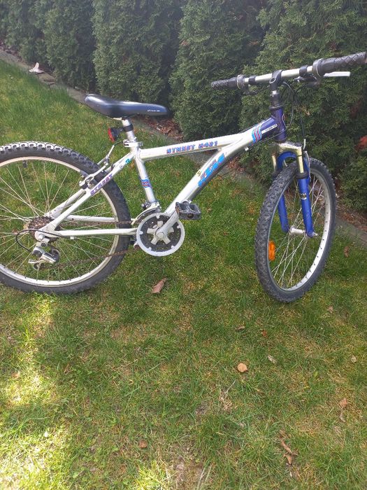 Rower górski  24''