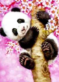 Malowanie Po Numerach Panda Obraz z Ramą 40x50