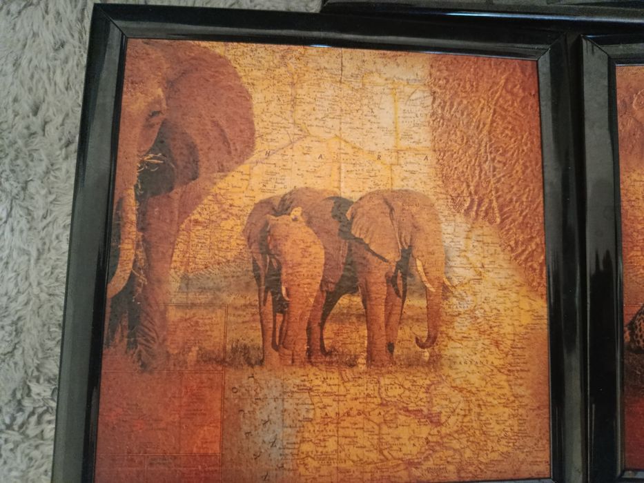 3 obrazki safari słoń żyrafa retro vintage