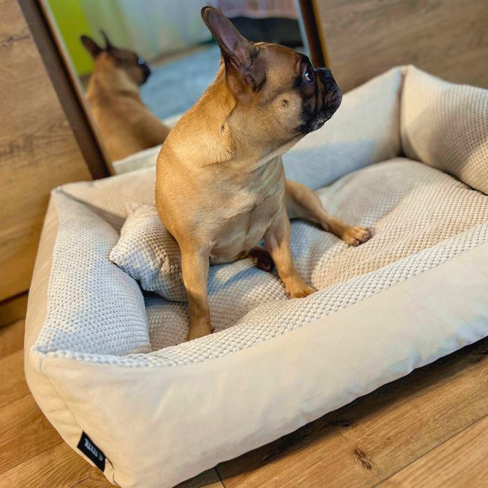 Przytulne legowisko dla psa TEO (120x100 cm, Beż)