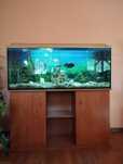 Akwarium 240 L 120x40x50 z osprzętem + szafka gratis