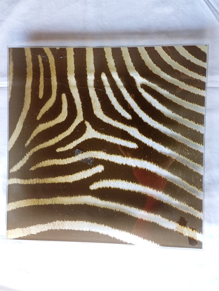 Conjunto de 5 Pratos (40cm x 40cm)