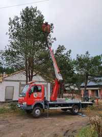 Wycinka pielęgnacja drzew czyszczenie działek karczowanie rębak