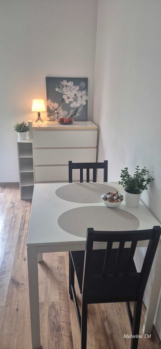 Wynajmę 2 pokojowe mieszkanie Kraków- niski czynsz!