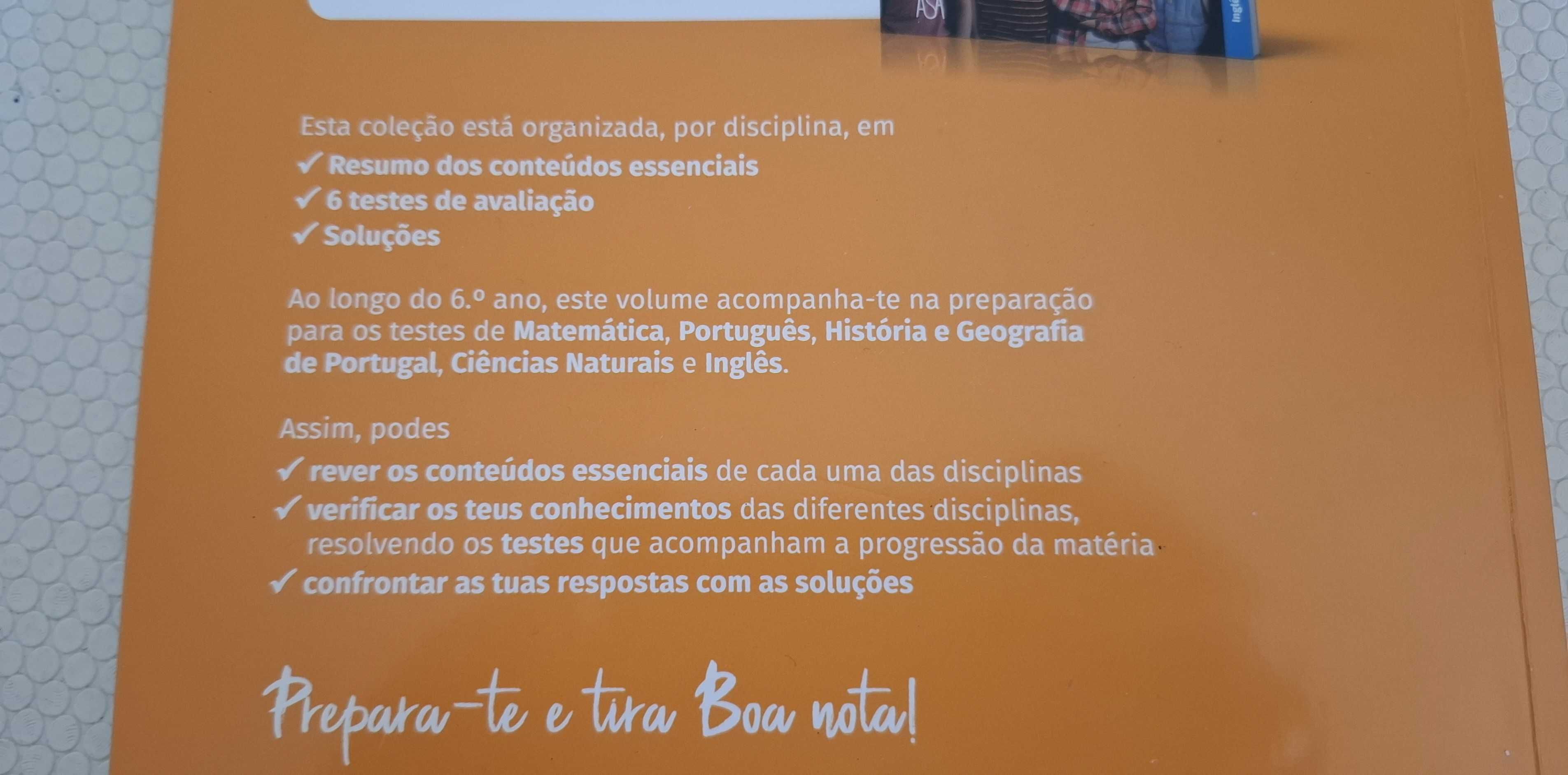 LIVRO: Boa nota! Preparação para os Testes 6.º Ano (Novo)