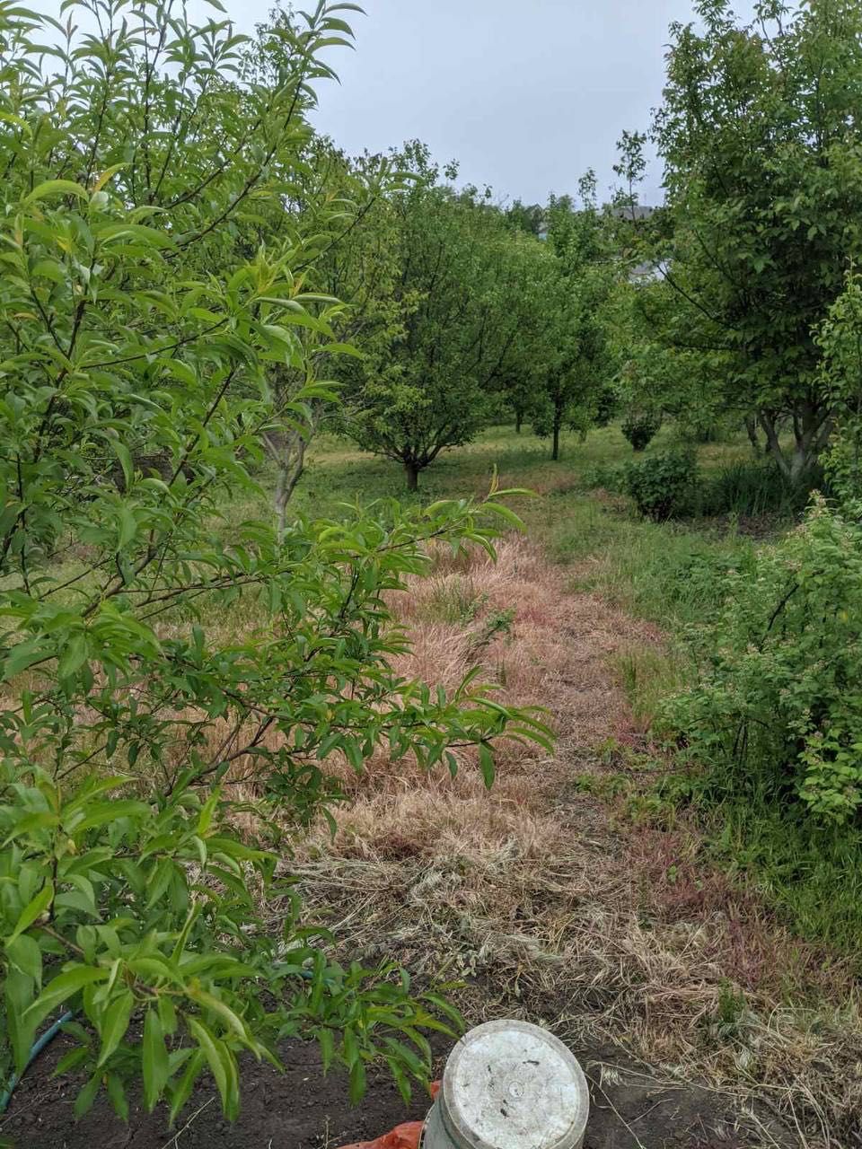 Продам Дом Царское Село Данила Ничая 10 сот 12 Квартал Оранжевая