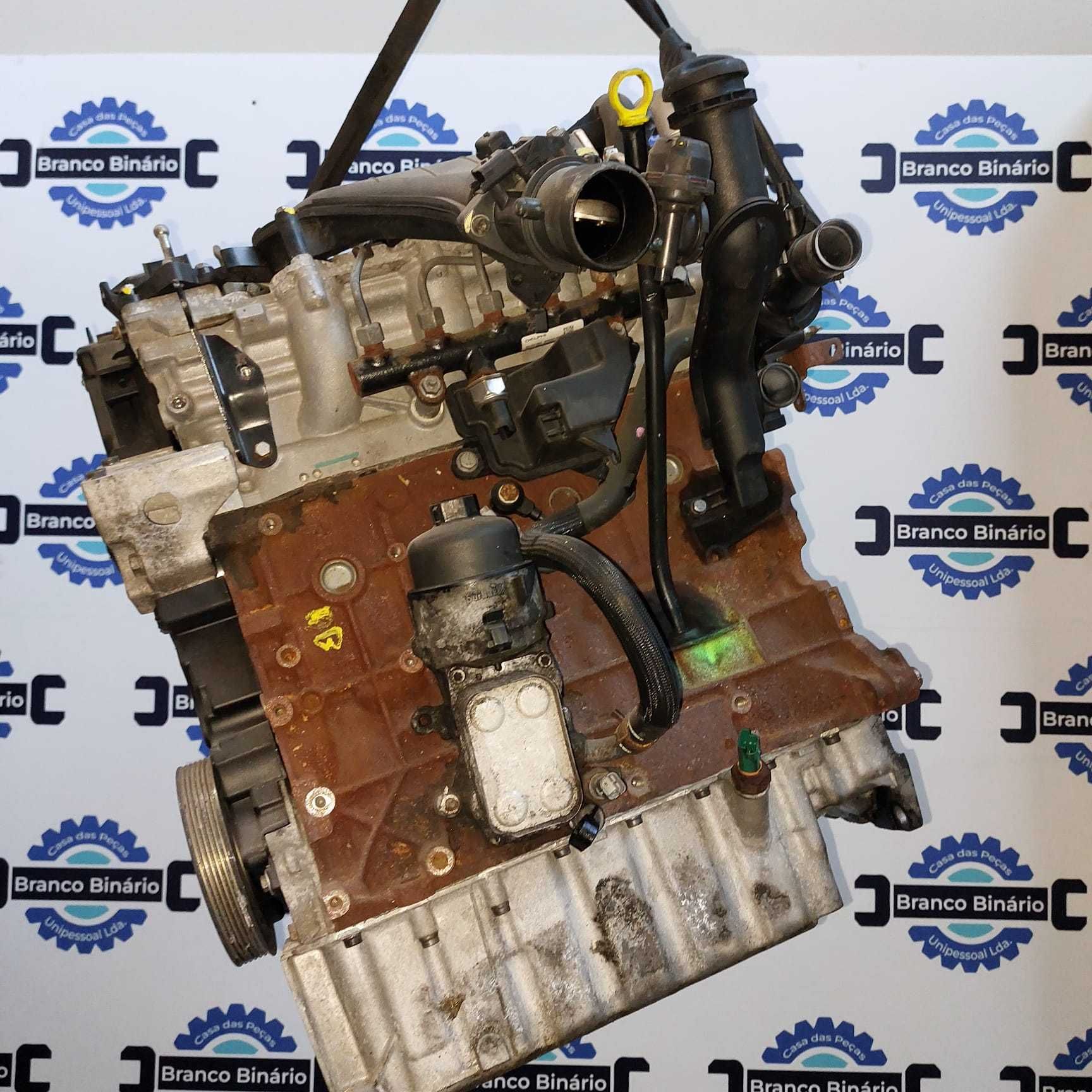 Motor 2.0 hdi (RHR)