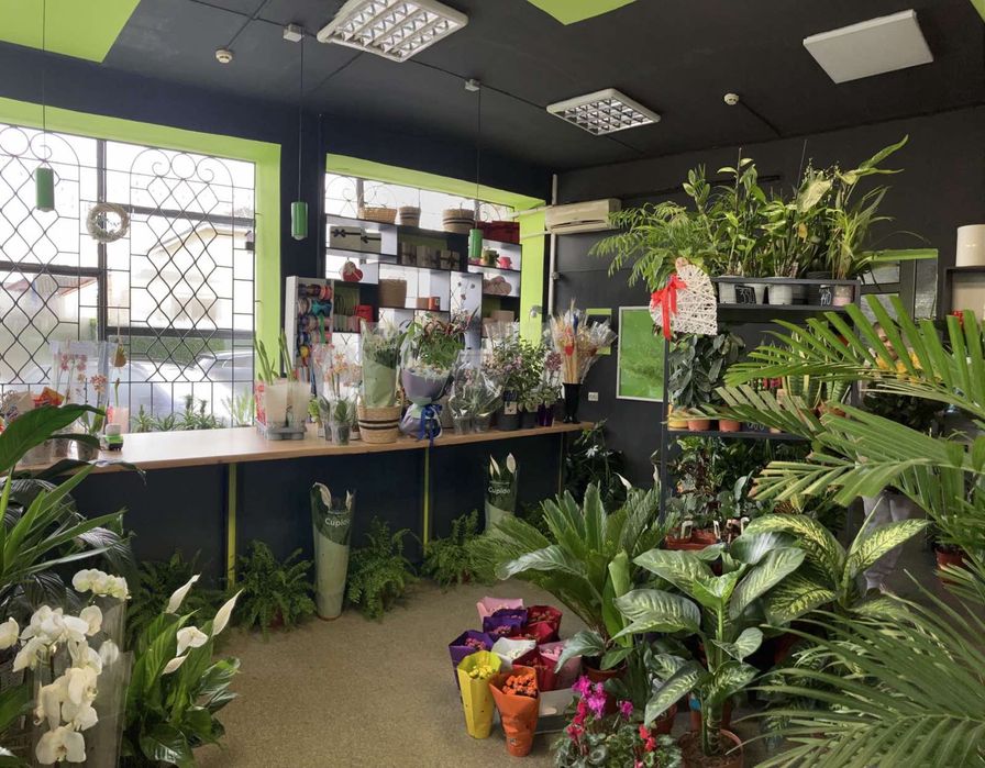 Оренда комерційного приміщення 53м.кв вул.Волонтерська