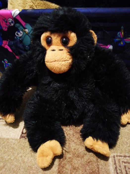 М'які іграшки дитячі