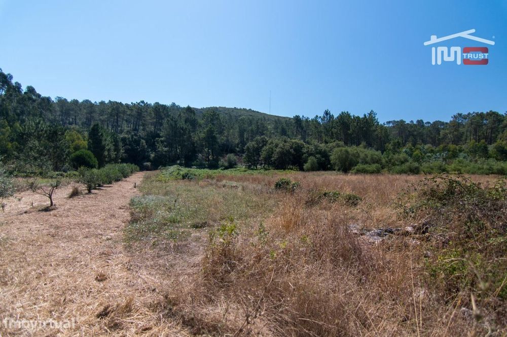 Terreno Rústico Com 2600 M2 Para Cultivo Com 10 Oliveiras