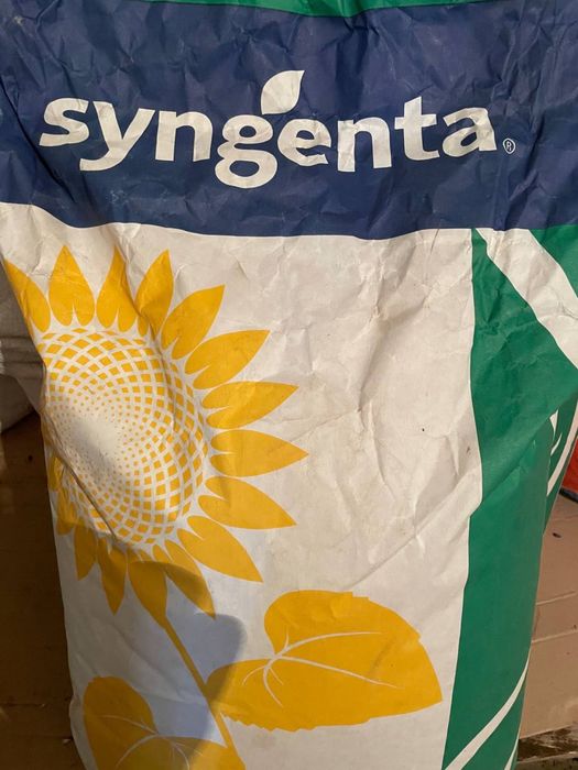 Соняшник Sureli Сурелі Syngenta