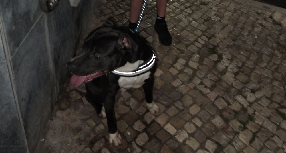 Por motivos de mudança de casa