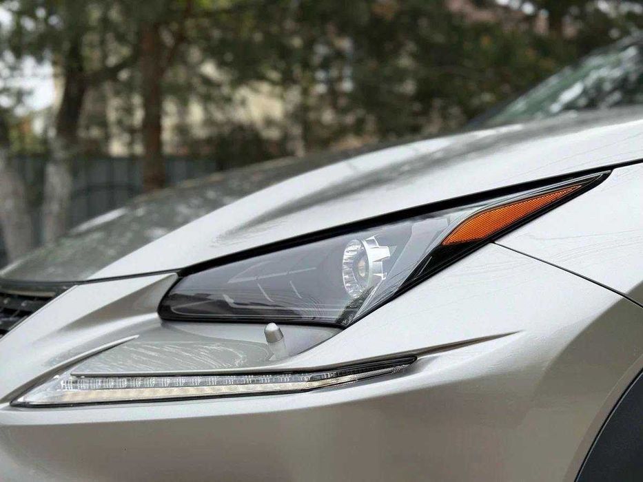 Lexus NX 300 2019