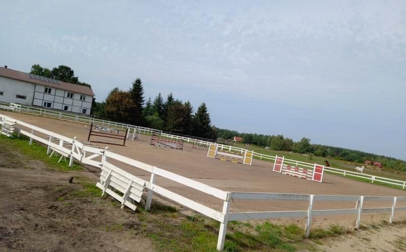 Wolne Boksy Ośrodek Jeździecki JK Jumping Team