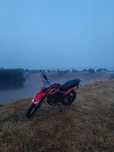 Форте крос 250 про