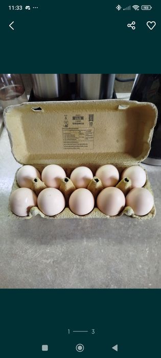 Sprzedam jajka swojskie