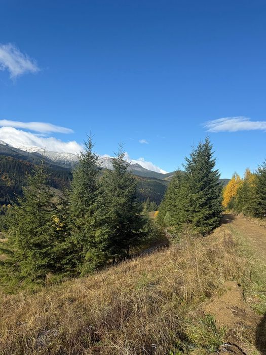 Ділянка біля Сховку під будову 22 сотки