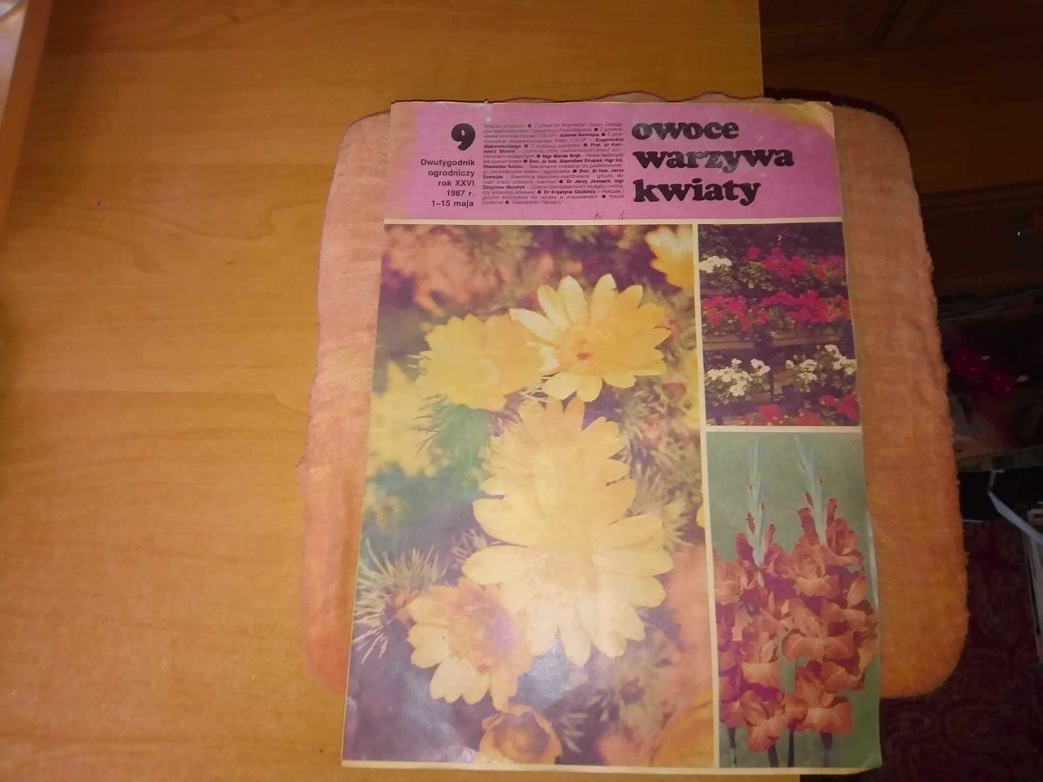 Owoce warzywa kwiaty dwutygodnik 9 1987 ogrodniczy gazeta czasopismo