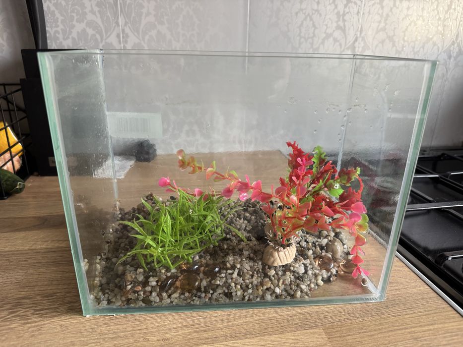 Akwarium 10 l + 8 l + filtr i akcesoria