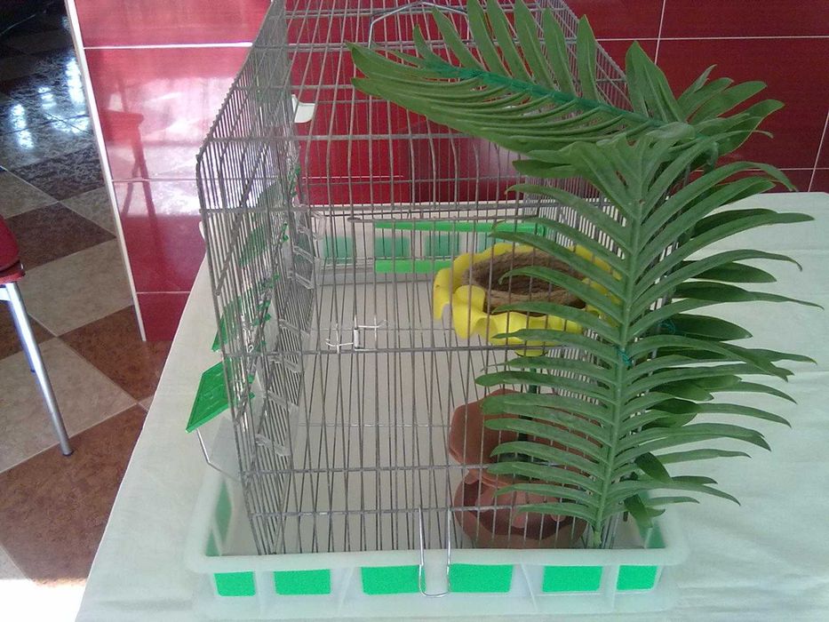 Viveiro de criação completo