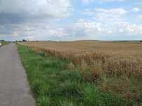 Działki rekreacyjne nad jeziorem Głuszyńskim (Głuszyńskie, Orle)