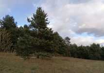 Dzialka budowlana 2000m2