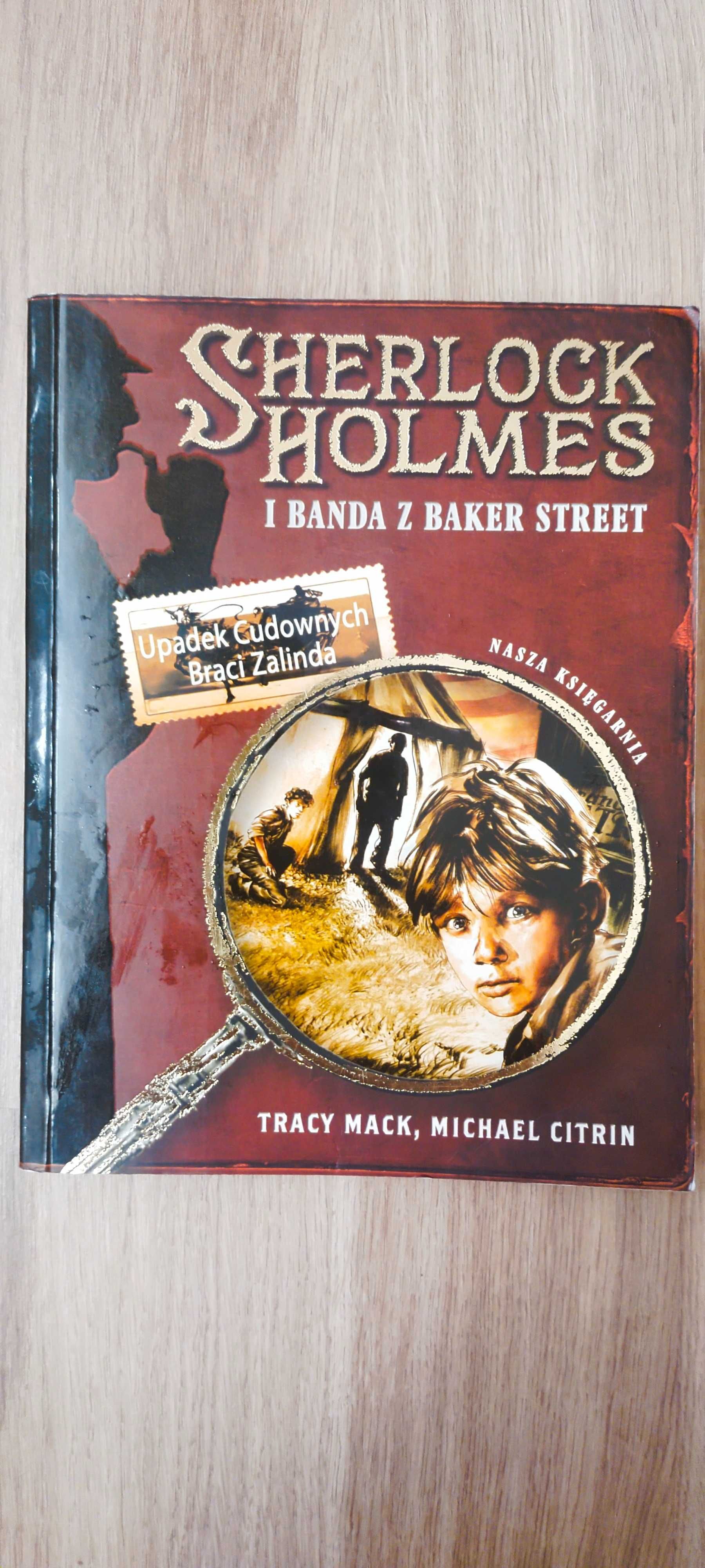 Sherlock Holmes i Banda z Baker Street. - Michael Citrin , Tracy Mack