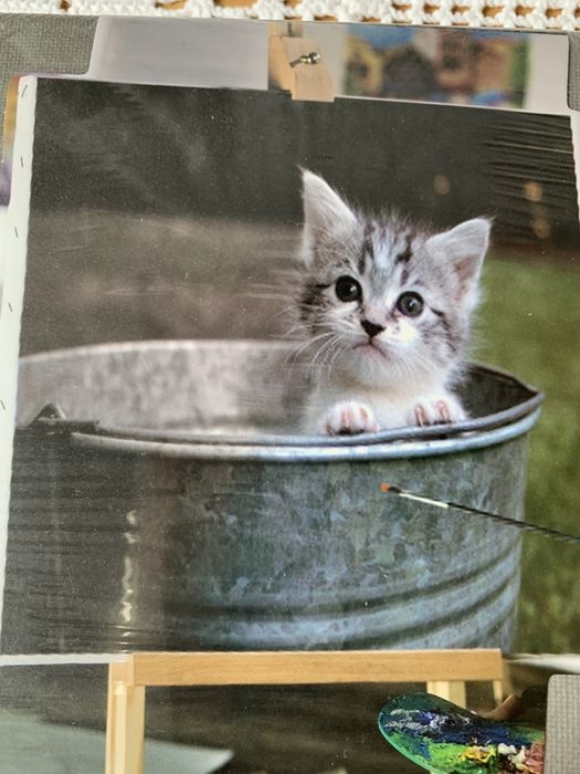 Obraz obrazek obrazki na płótnie do pomalowania plus farby kot maki