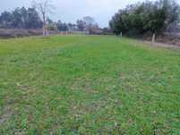 Terreno para venda