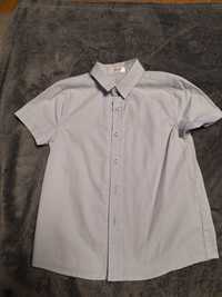 Koszula na krótki rękaw 98-104 zestaw koszule