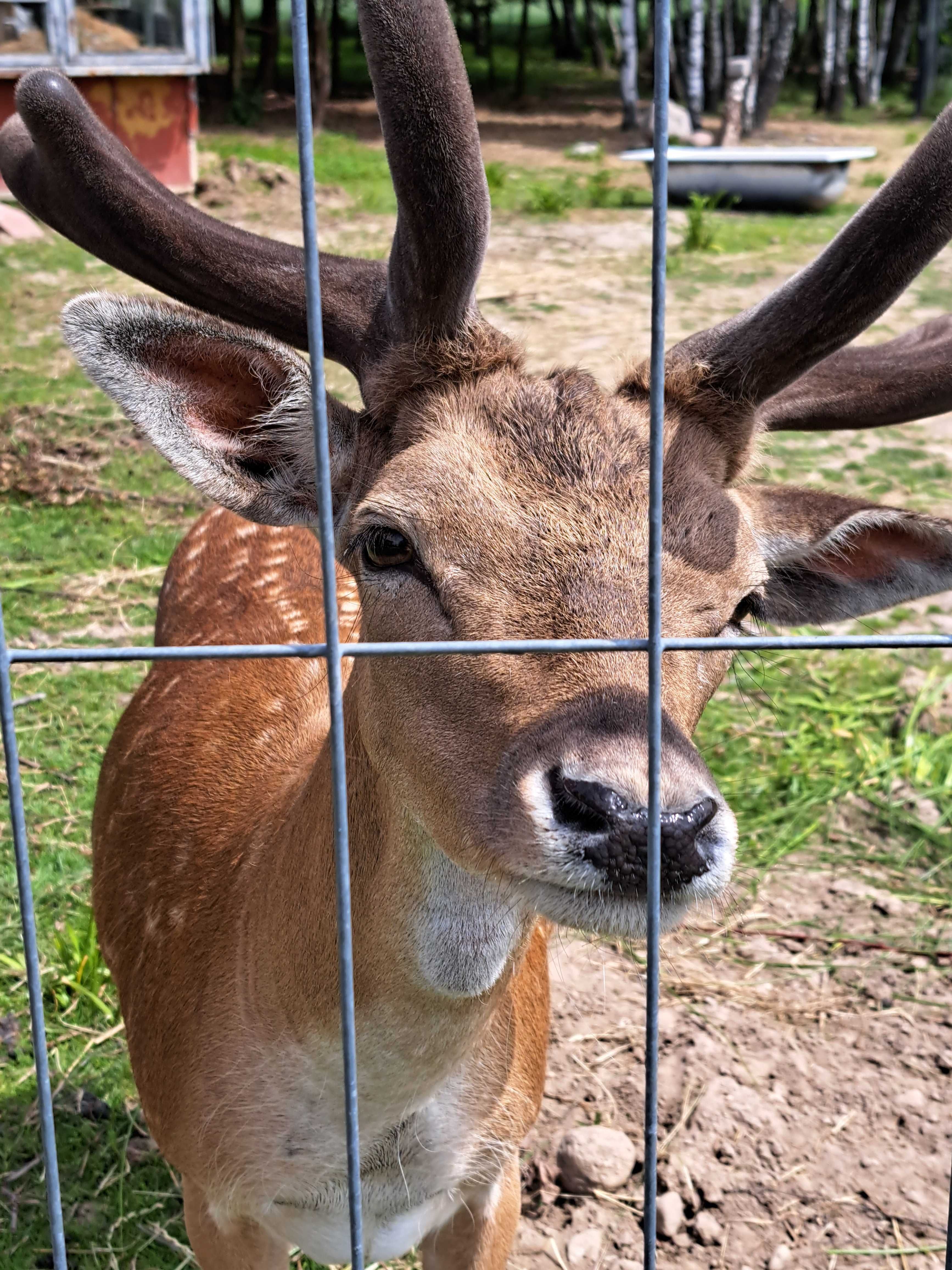 Domek, cichy zakątek nad stawem
