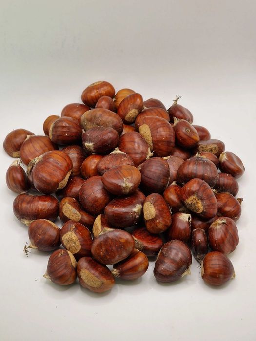 Kasztan Jadalny Świeży Hiszpania