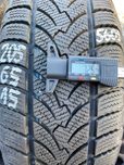 Opona Platin RP60 Winter 205/65 R15 Nr.5609