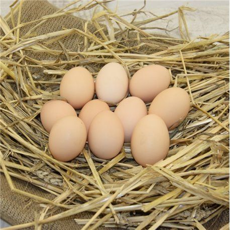 Jaja wiejskie MEGA DUŻE 80g z dużego wybiegu-naturalne-DOWÓZ GRATIS